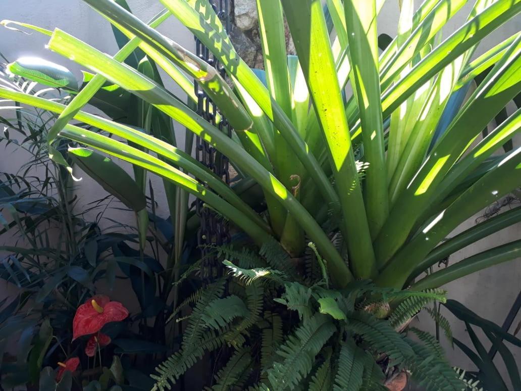 Pousada Naus De Araquari Exterior foto