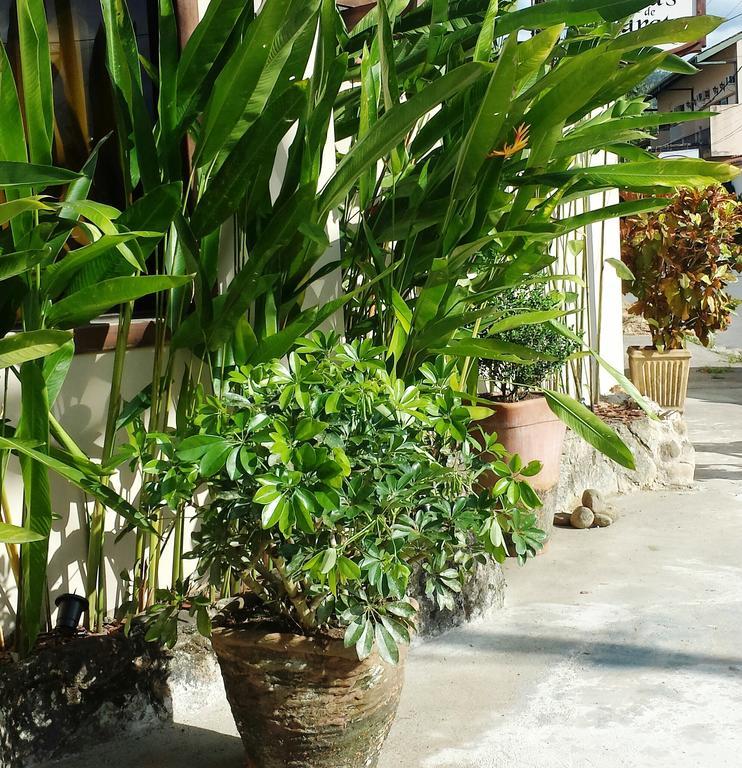 Pousada Naus De Araquari Exterior foto